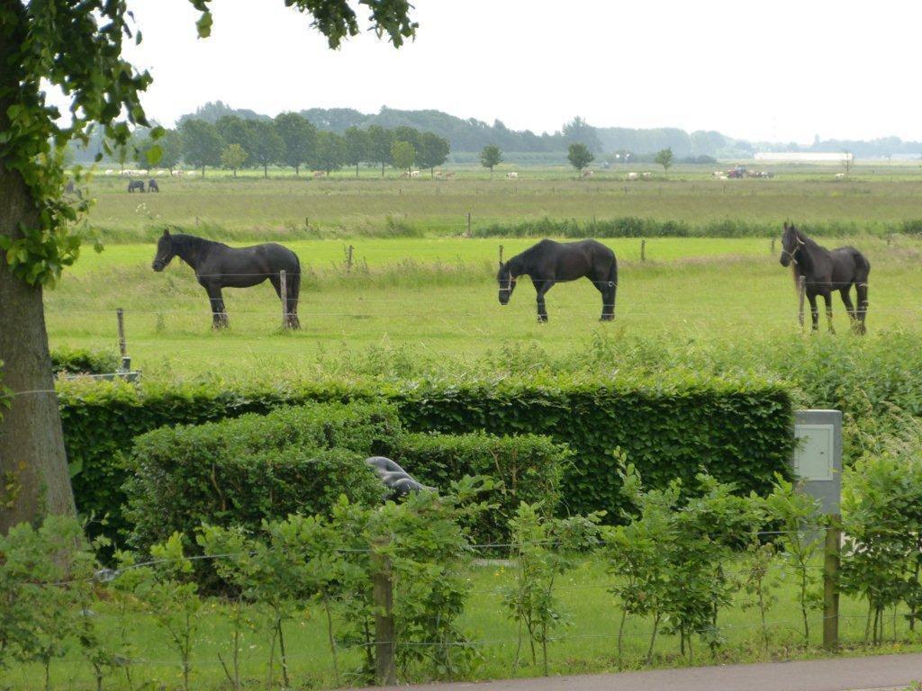 Hotel Brasserie Oud Maren Eksteriør billede